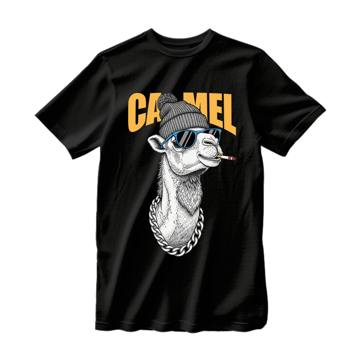 camel 01-01