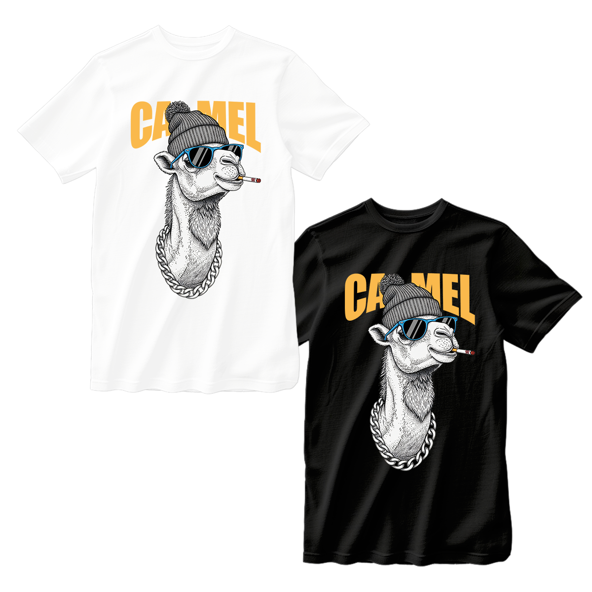 camel 01-01
